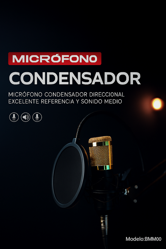Micrófono Condensador Profesional